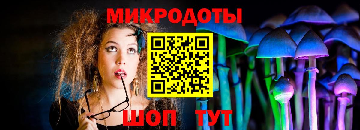 Псилоцибиновые грибы мицелий Майский